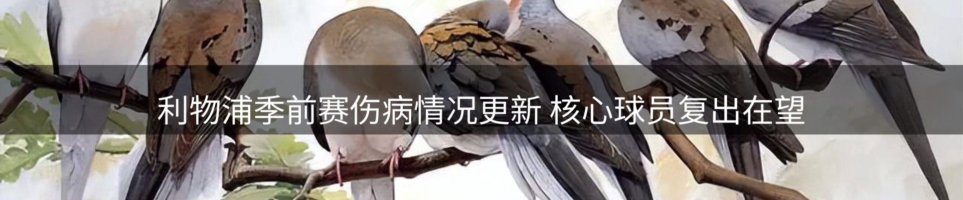 新闻速递