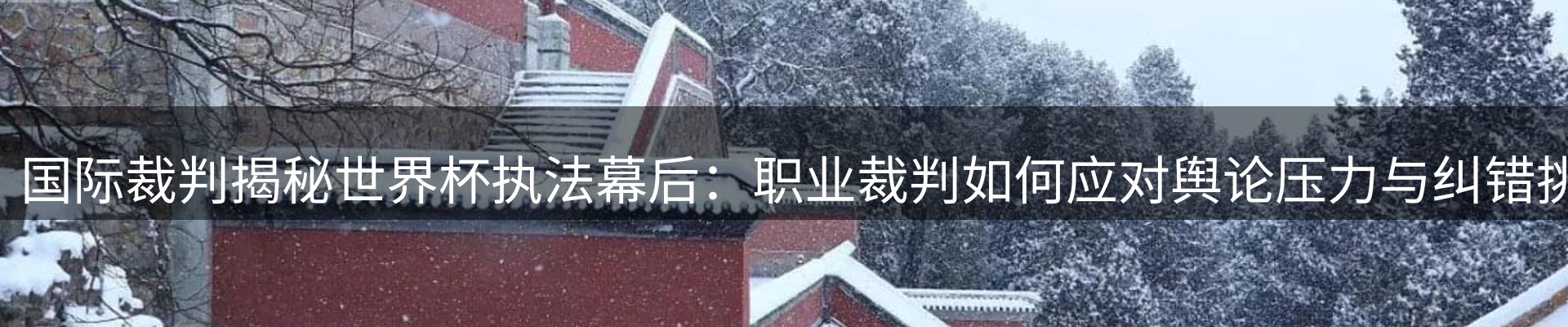 资讯动态