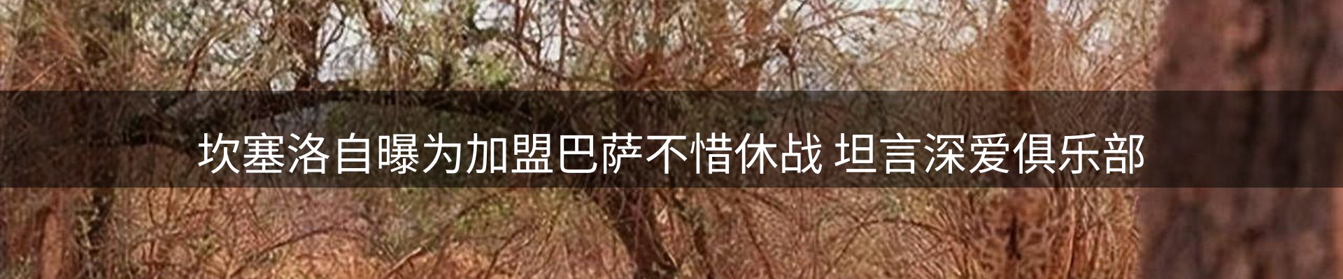 新闻速递