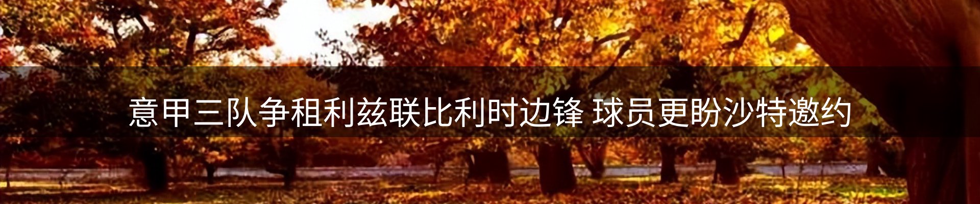 新闻速递