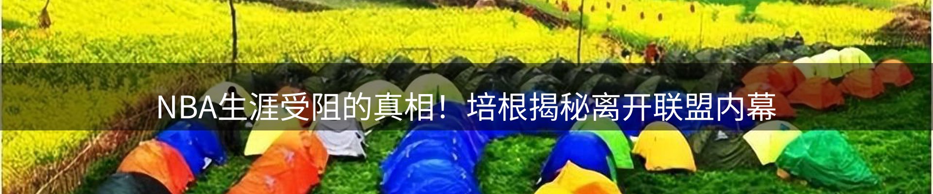 资讯动态