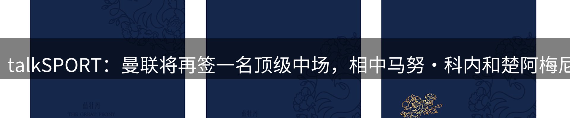 资讯动态